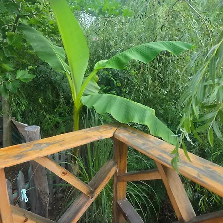 ла пуеста де соль Burgasz