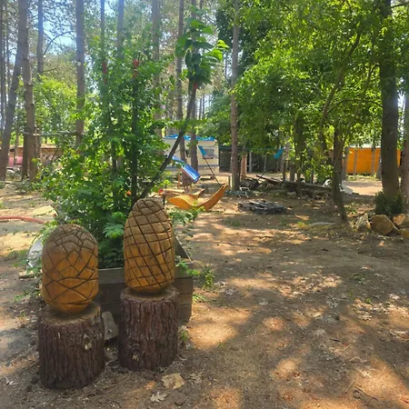 Kemping ла пуеста де соль *